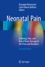neonatal pain: suffering, pain, and risk of brain damage in the fetus and newborn, 2nd edition