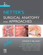 netter’s surgical anatomy and approaches (netter clinical science)