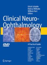 neuro ophthalmology