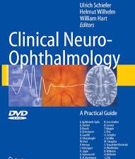 neuro ophthalmology