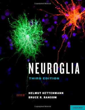 neuroglia, 3rd edition