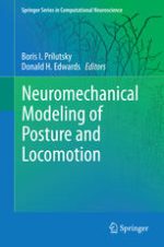 neuromechanical modeling of posture and locomotion