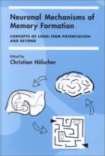 neuronal mechanisms of memory formation