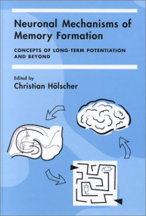 neuronal mechanisms of memory formation
