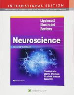neuroscience (lippincott’s illustrated reviews series) – north american edition