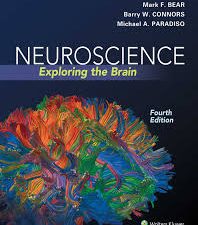 neuroscience: exploring the brain (4th edition)