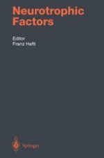 neurotrophic factors