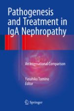 pathogenesis and treatment in iga nephropathy