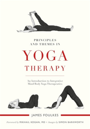 principles and themes in yoga therapy