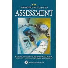 professional guide to assessment