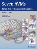 seven avms: tenets and techniques for resection (2014 release)