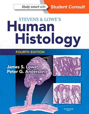 stevens & lowe’s human histology, 4th edition