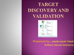 target discovery and validation