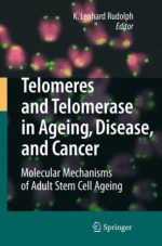 telomeres and telomerase in aging, disease, and cancer: molecular mechanisms of adult stem cell ageing