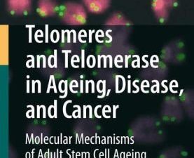 telomeres and telomerase in aging, disease, and cancer: molecular mechanisms of adult stem cell ageing