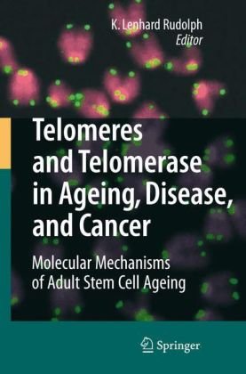 telomeres and telomerase in aging, disease, and cancer: molecular mechanisms of adult stem cell ageing