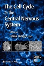 the cell cycle in the central nervous system