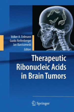 therapeutic ribonucleic acids in brain tumors