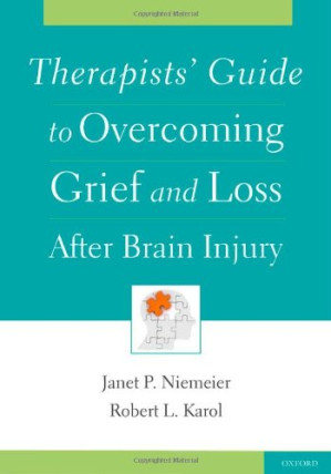 therapists’ guide to overcoming grief and loss after brain injury