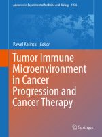 tumor immune microenvironment in cancer progression and cancer therapy