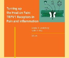 turning up the heat on pain: trpv1 receptors in pain and inflammation