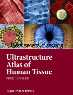 ultrastructure atlas of human tissues