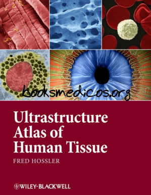 ultrastructure atlas of human tissues