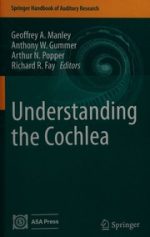 understanding the cochlea
