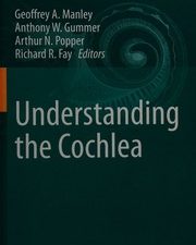 understanding the cochlea
