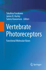 vertebrate photoreceptors: functional molecular bases