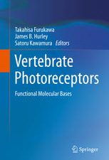 vertebrate photoreceptors: functional molecular bases