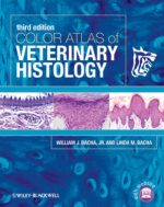 veterinary histology