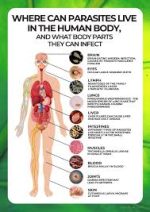 worms and human disease