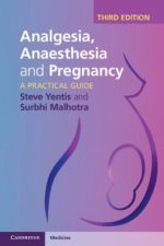 analgesia anaesthesia and pregnancy a practical guide 3rd edition