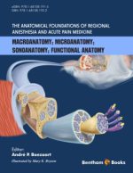 andre p boezaart primer of regional anesthesia anatomy