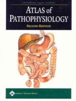 atlas of pathophysiology 2nd edition