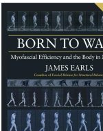 born to walk myofascial efficiency and the body in movement