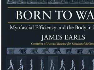 born to walk myofascial efficiency and the body in movement