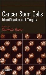 cancer stem cells identification and targets