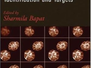 cancer stem cells identification and targets