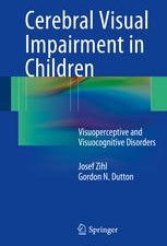 cerebral visual impairment in children visuoperceptive and visuocognitive disorders