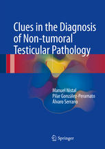 clues in the diagnosis of non tumoral testicular pathology