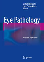 eye pathology an illustrated guide