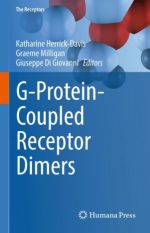 g protein coupled receptor dimers the receptors