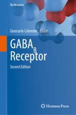 gabab receptor the receptors
