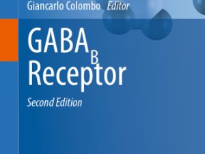 gabab receptor the receptors
