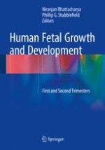 human fetal growth and development first and second trimesters