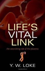 life s vital link the astonishing role of the placenta