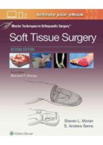 master techniques in orthopaedic surgery soft tissue surgery
