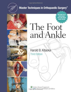 master techniques in orthopaedic surgery the foot and ankle 3rd edition 2013